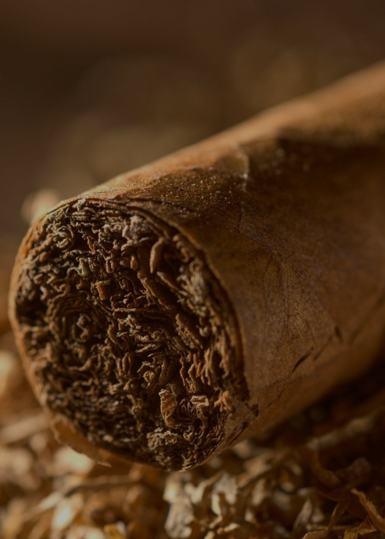 how to farm tobacco Five facts about tobacco farming